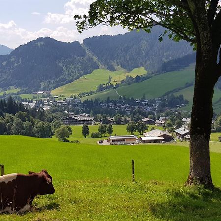 Haus Sonnleiten Maria Alm am Steinernen Meer Luaran gambar