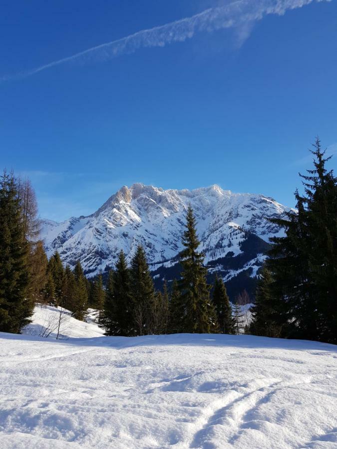 Haus Sonnleiten Maria Alm am Steinernen Meer Luaran gambar